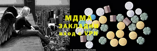 индика Инсар
