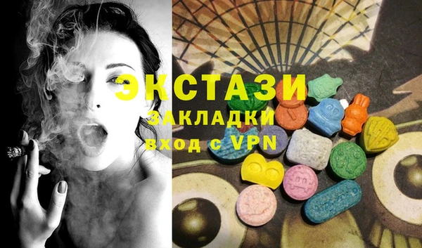 дурь Инта