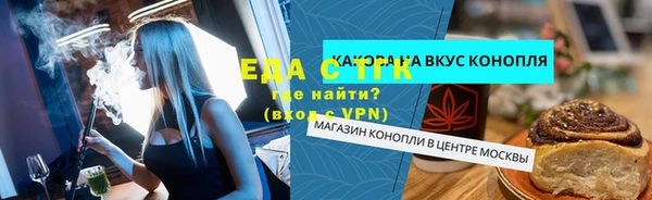 индика Инсар