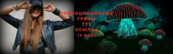 mdma Зеленокумск