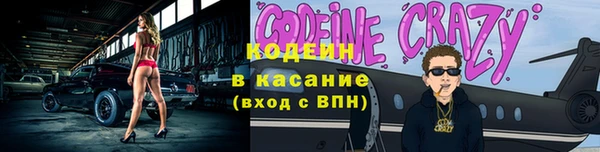 индика Инсар