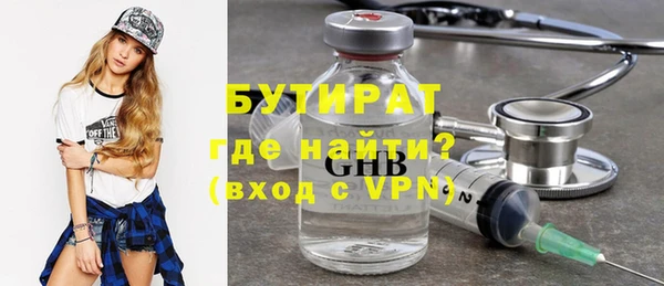 индика Инсар