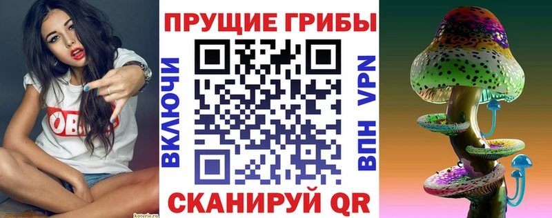 Галлюциногенные грибы Magic Shrooms Чернушка